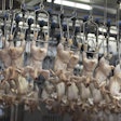 Shackles In Processing Plant
