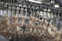 Shackles In Processing Plant