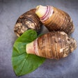 Taro Root Leaf