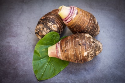 Taro Root Leaf