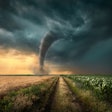 Tornado In Wheat Field