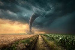 Tornado In Wheat Field