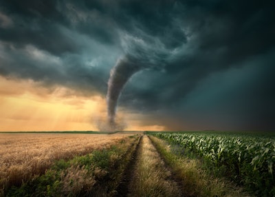 Tornado In Wheat Field