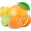 Citrus Fruits