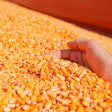 Corn Hand