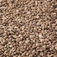 Hemp Seeds