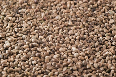 Hemp Seeds