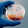 Laboratory Petri Dish