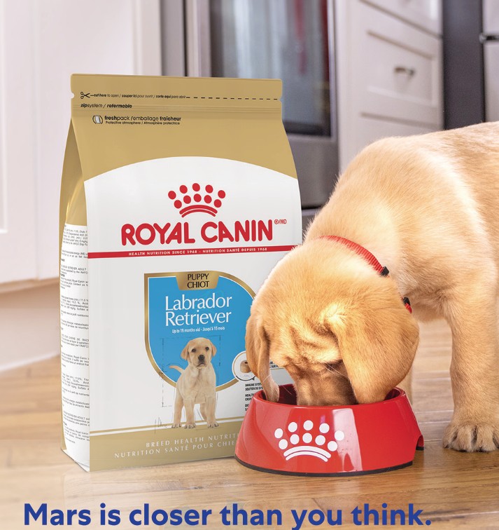 Mars Is Closer Than You Think Campaign