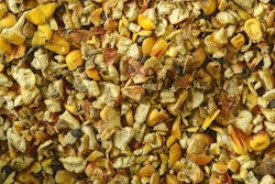 Mycotoxins Chicken Feed