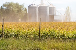 Soybean Field And Grain Bins