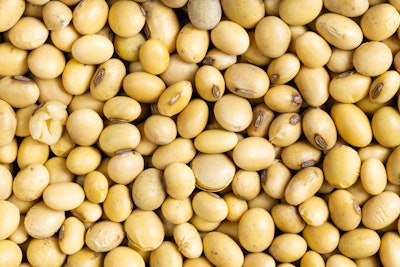 Soybeans Dried