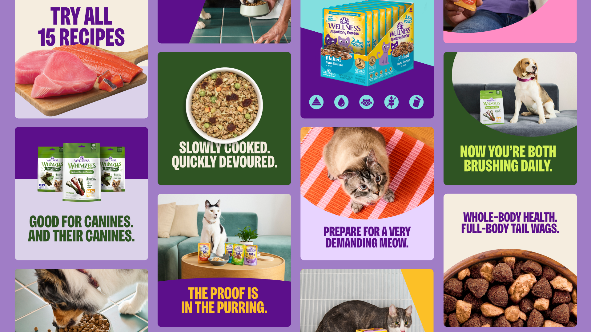 Wellness Pet Company launched a new brand identity and national advertising campaign in September 2025.