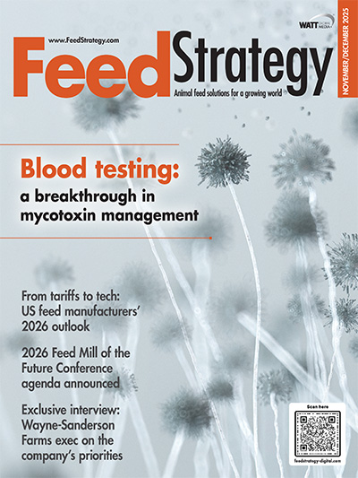 Feed Strategy November/December 2025