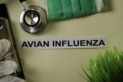 Avian Influenza Bangoland Bigstock