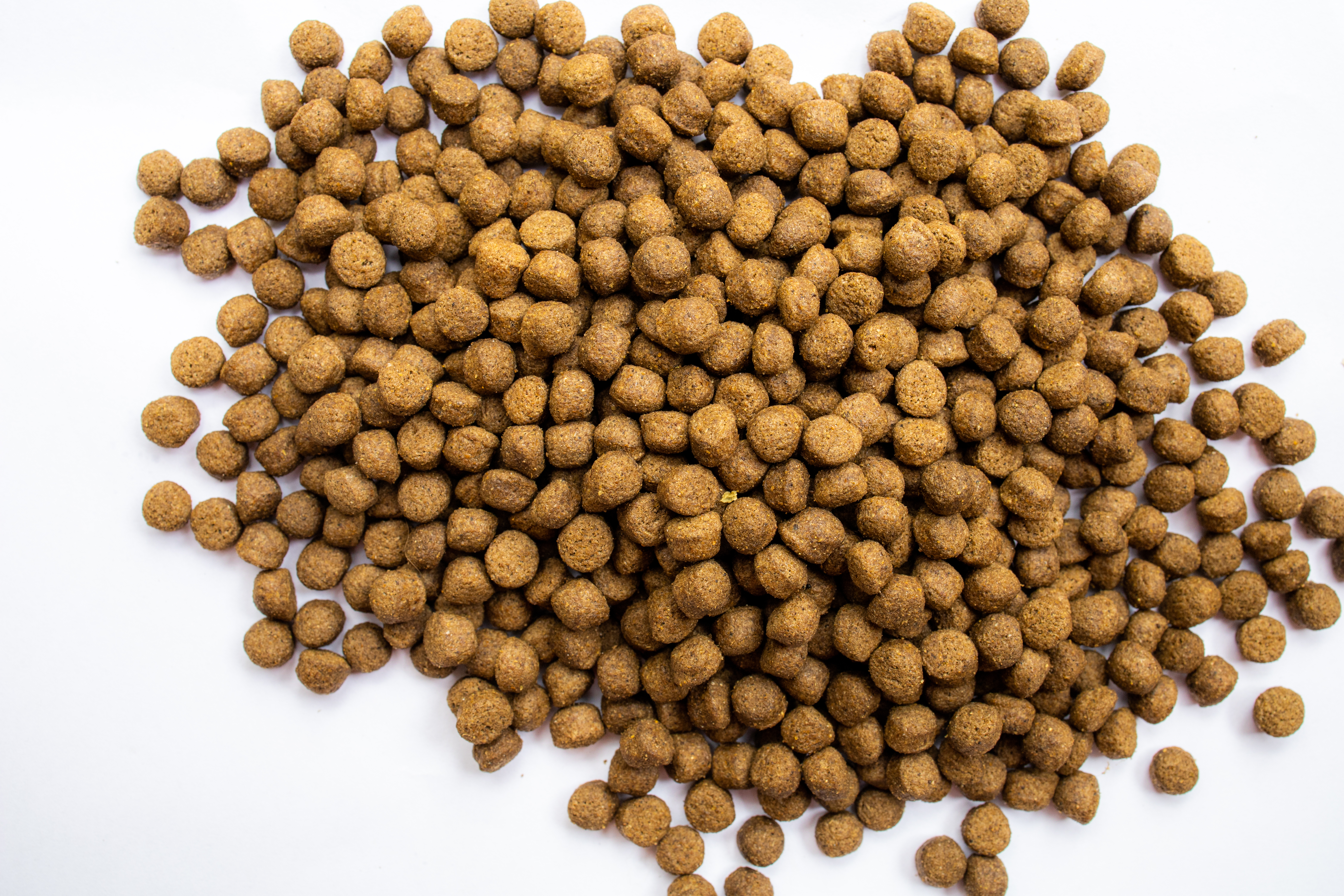Fish Feed Pellets