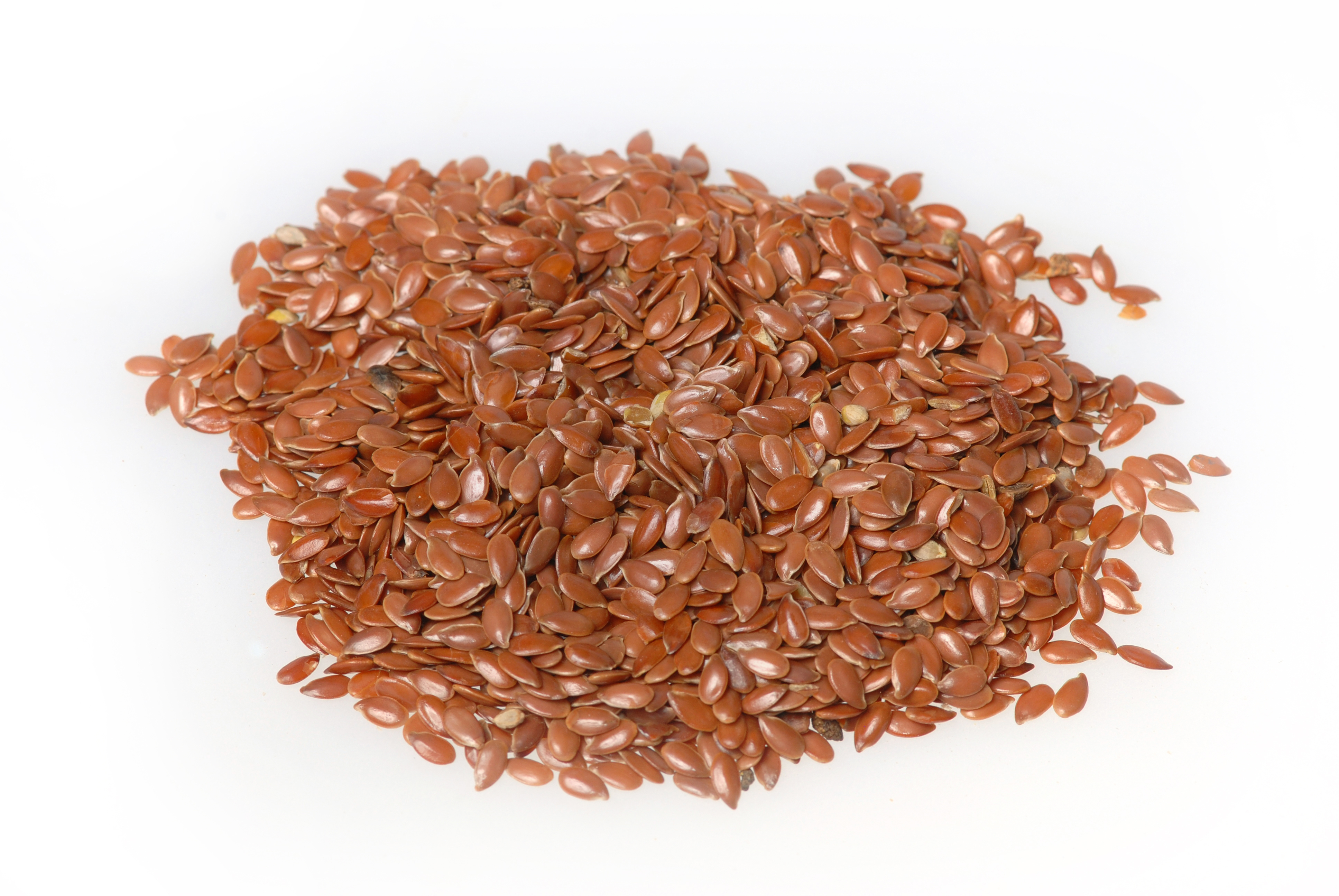 Flax Seeds