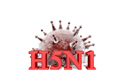 H5 N1