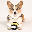 Best in Show, which inspired the creation of the National Dog Show presented by Purina, turns 25 this year. To mark the occasion, Purina is giving fans a chance to win their own Busy Bee toy and the Best in Show digital movie