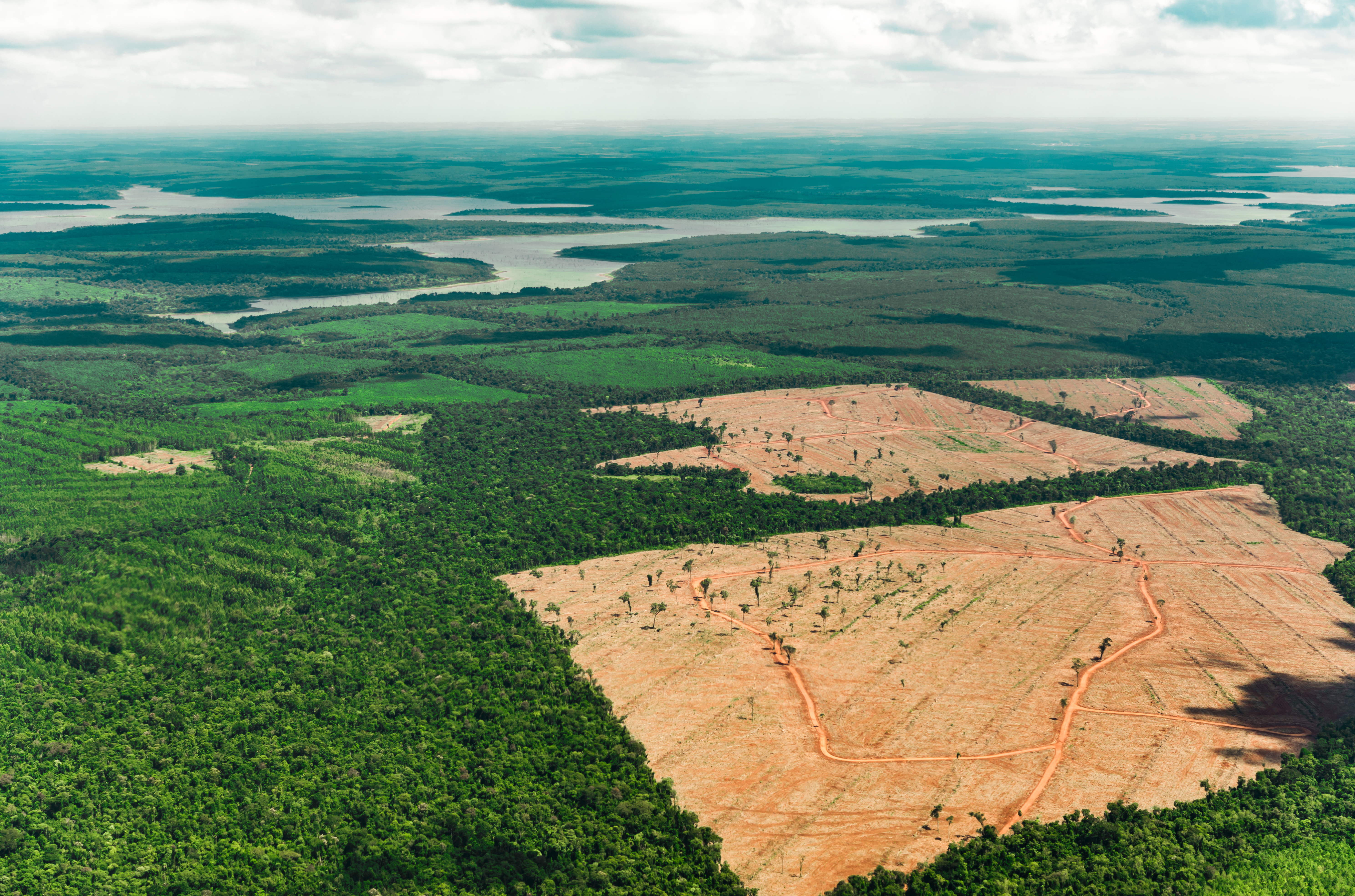 Amazon Deforestation