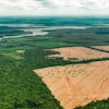 Amazon Deforestation