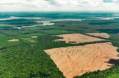 Amazon Deforestation