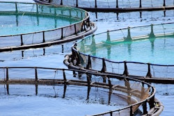 Aquaculture Fish Farm 1