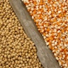 Corn Soybeans
