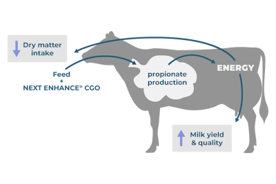 From Feed To Milk 900x600 1