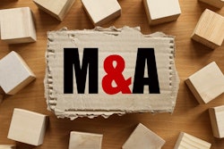 Merger Svetlana Hadayeva Bigstock