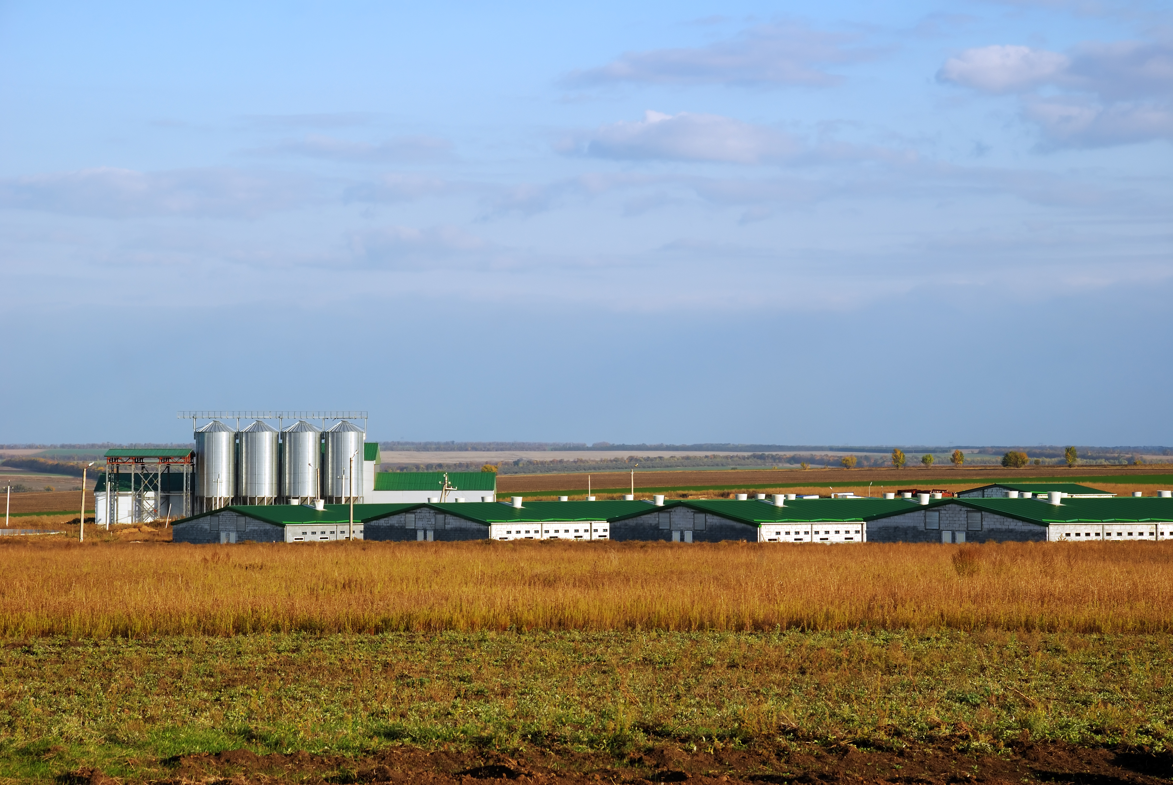 Modern Farm Buildings