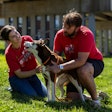 Nestle Purina Pet Care Grants To Support Communities And Pets In Need