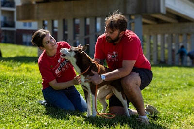 Nestle Purina Pet Care Grants To Support Communities And Pets In Need