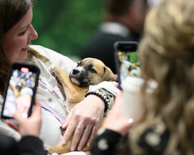 One of the highlights of Petfood Forum is the adoptable puppies that come to visit.