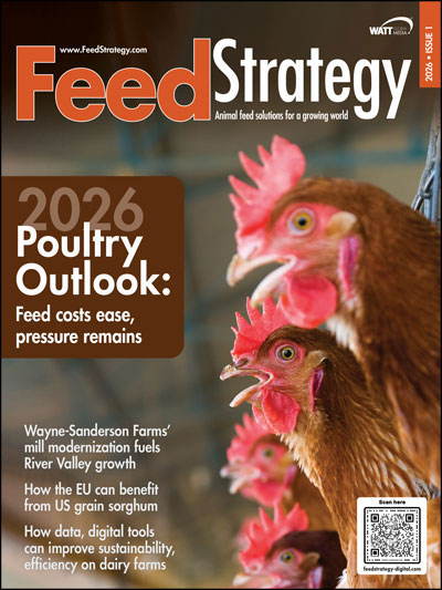 Feed Strategy January 2026