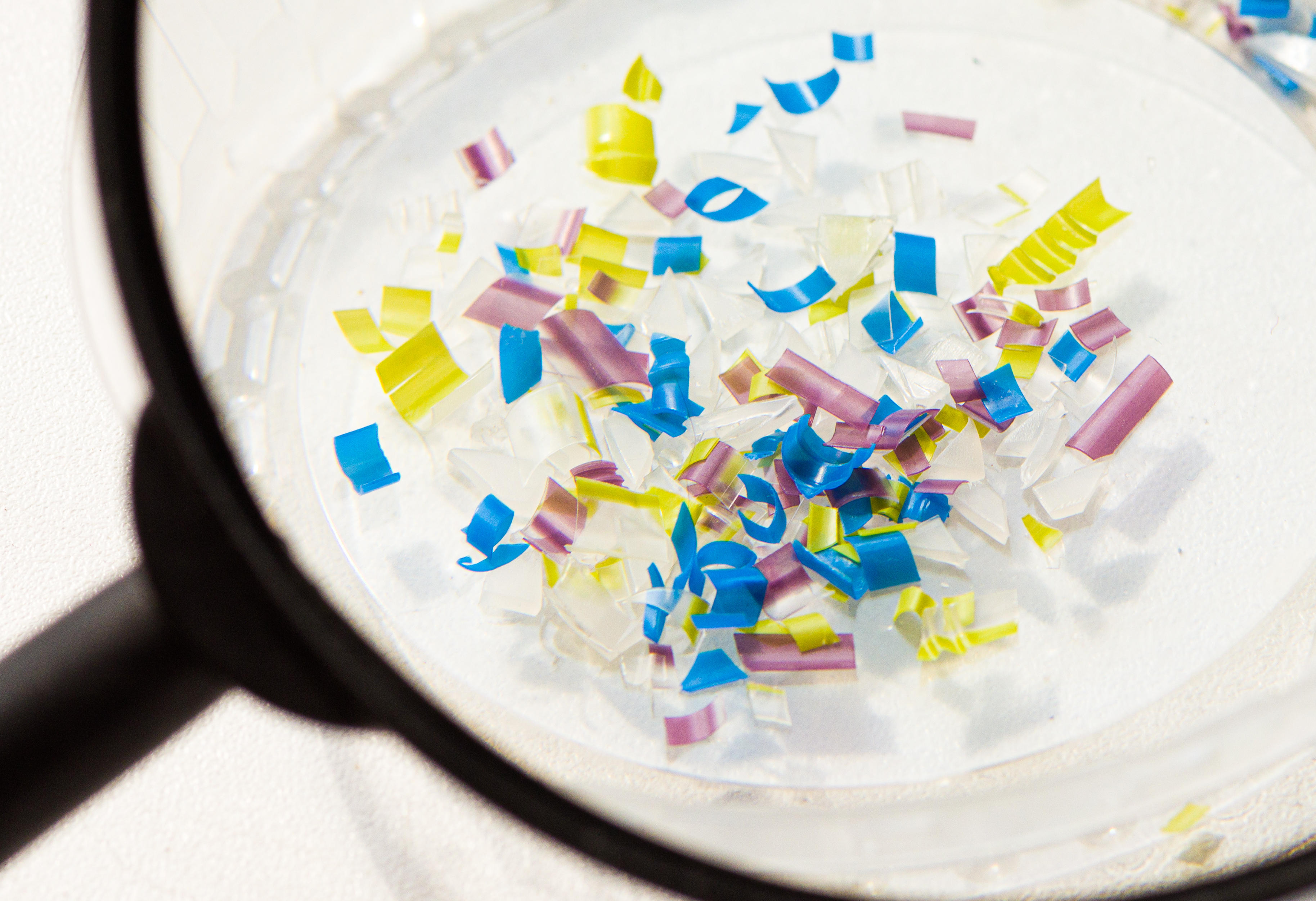 Microplastics Magnifying Glass