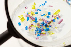 Microplastics Magnifying Glass