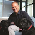 Smiling professional sitting with two black Labrador dogs in an office