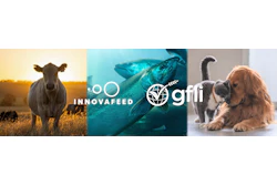 Composite image showcasing agricultural and food innovation with cow, fish, and pets