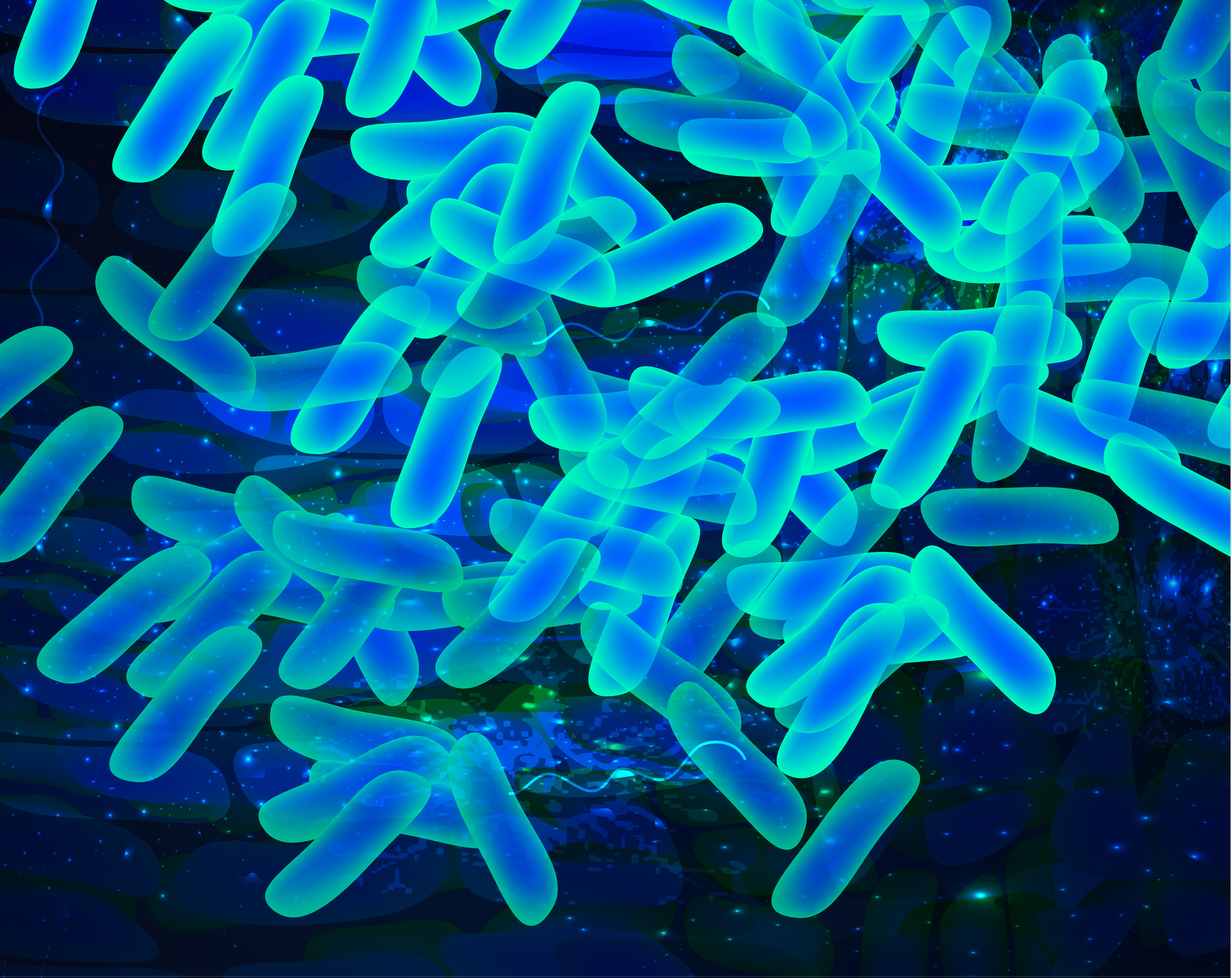Lactobacillus