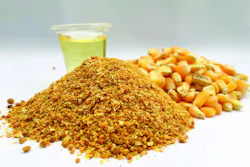 Ground cornmeal, whole corn kernels, and corn oil on white background