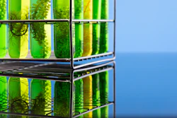 Algal Oil Algae