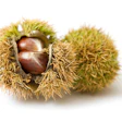 Bigstock Chestnuts 3311627