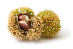 Bigstock Chestnuts 3311627