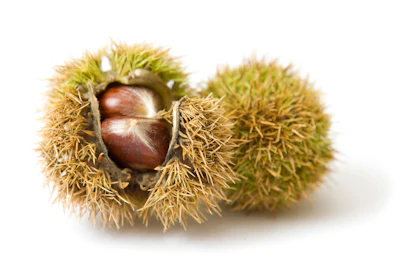 Bigstock Chestnuts 3311627