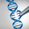 Crispr Gene Edit Dna
