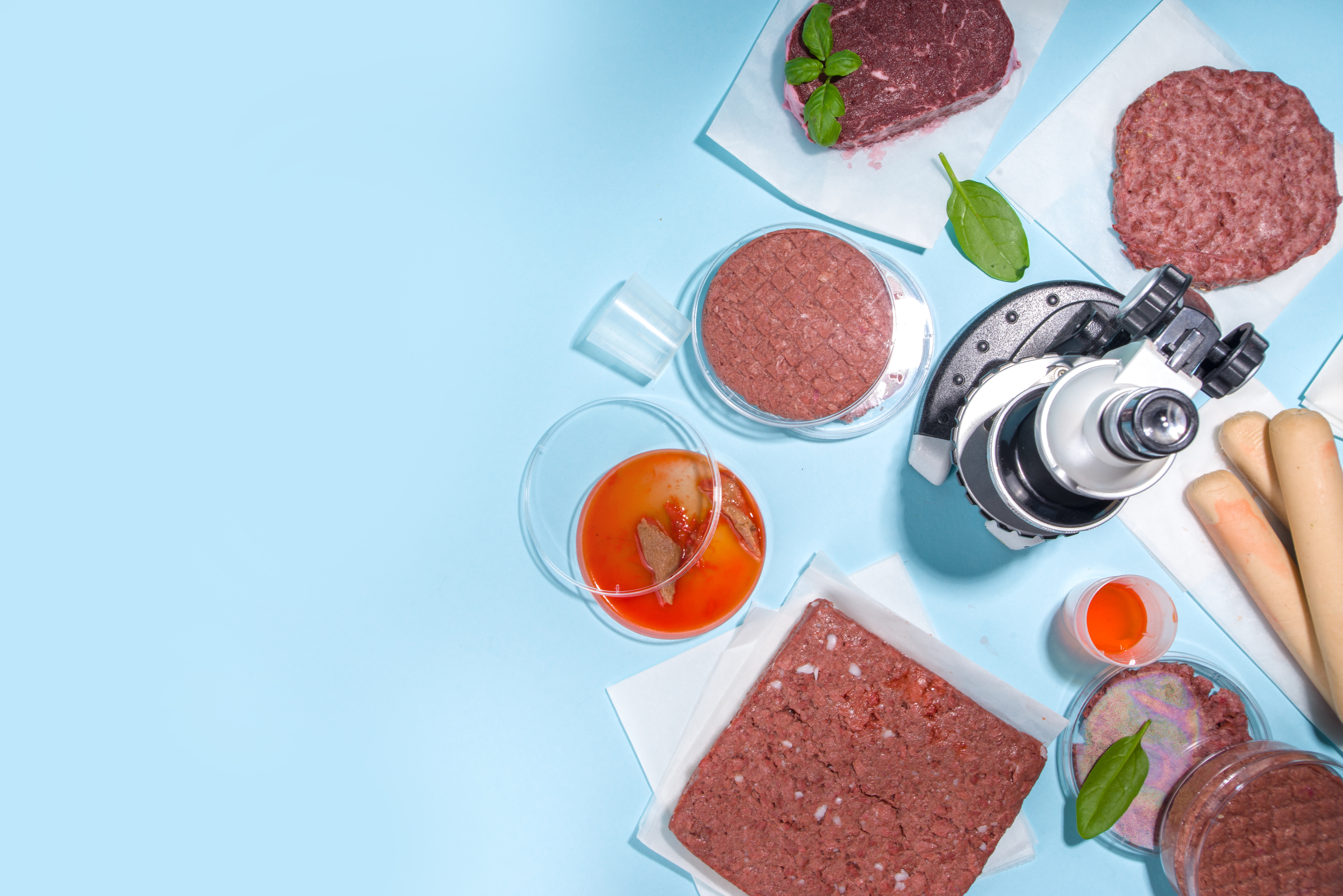 Lab Grown Meat