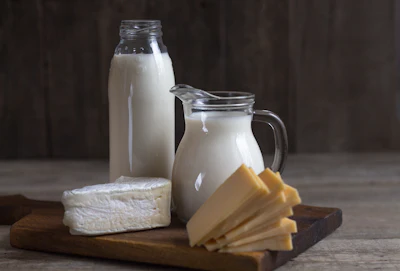 Milk Cheese