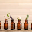 Plant Extract Phytogenics Essential Oils