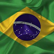 Brazil Flag David Rock Design